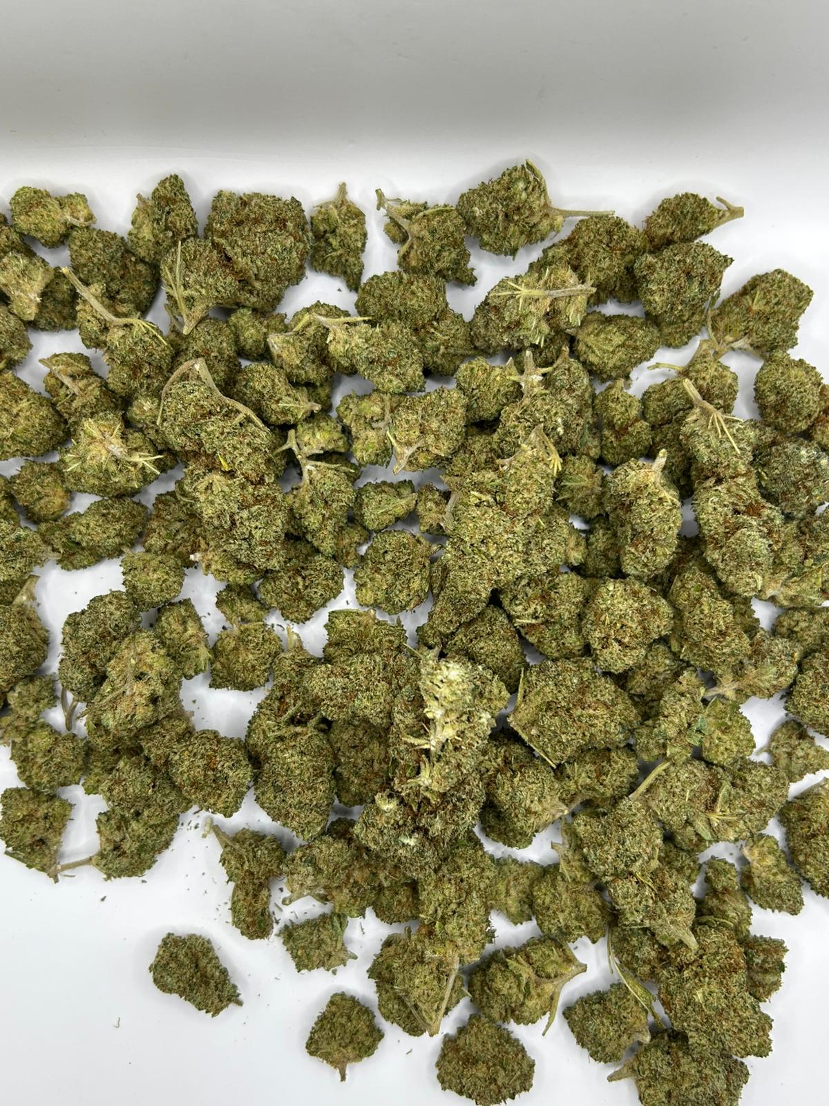 Blueberry Haze – Aromatische Hanfblüten | Sammlerartikel