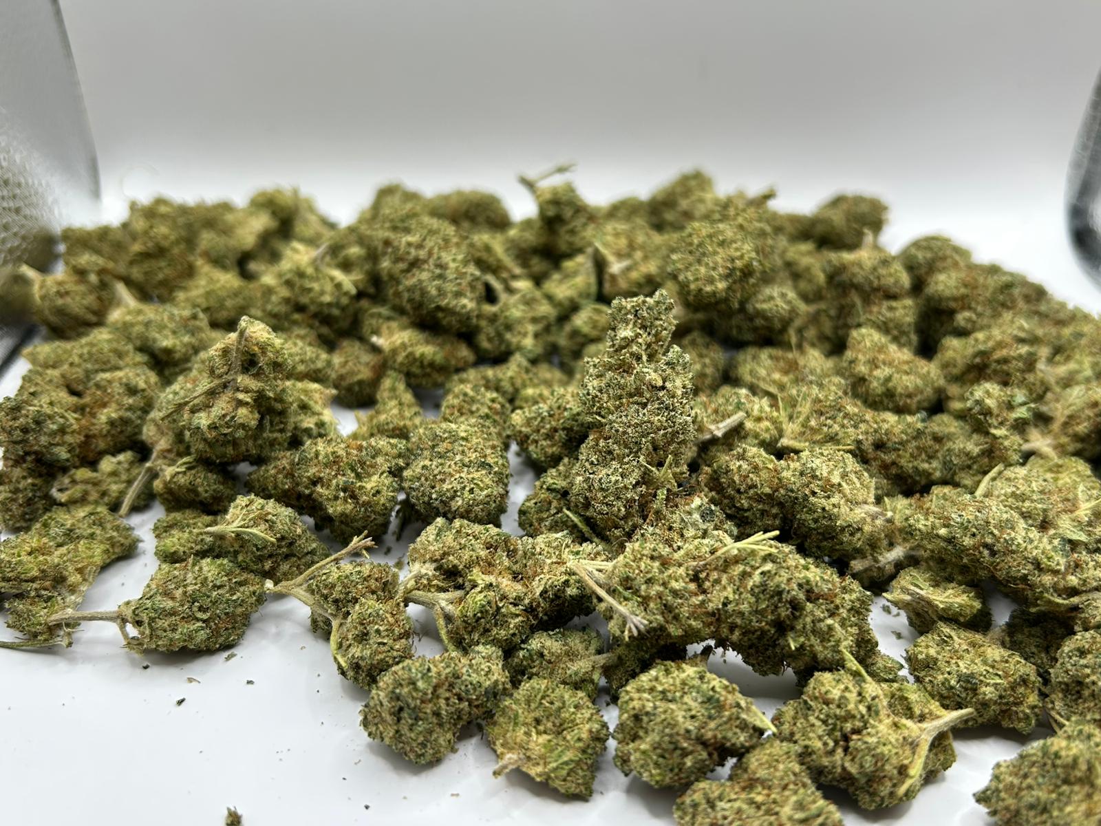 Blueberry Haze – Aromatische Hanfblüten | Sammlerartikel