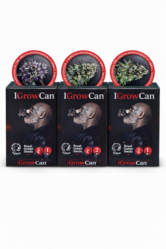Royal Queen Seeds x Tyson 2.0 – IGrowCan™ | Originalprodukt mit Sortenauswahl