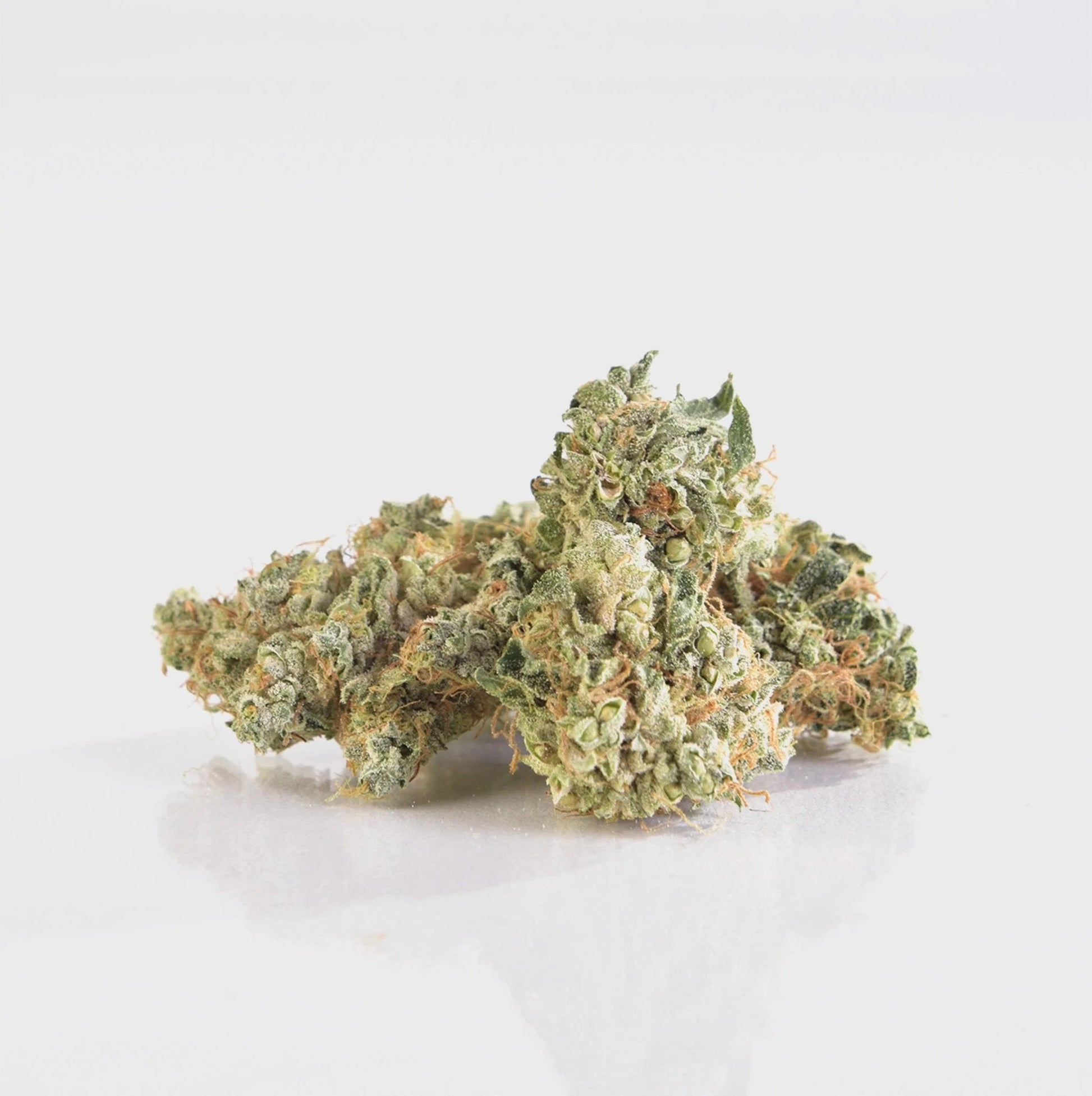 Dr. White CBG